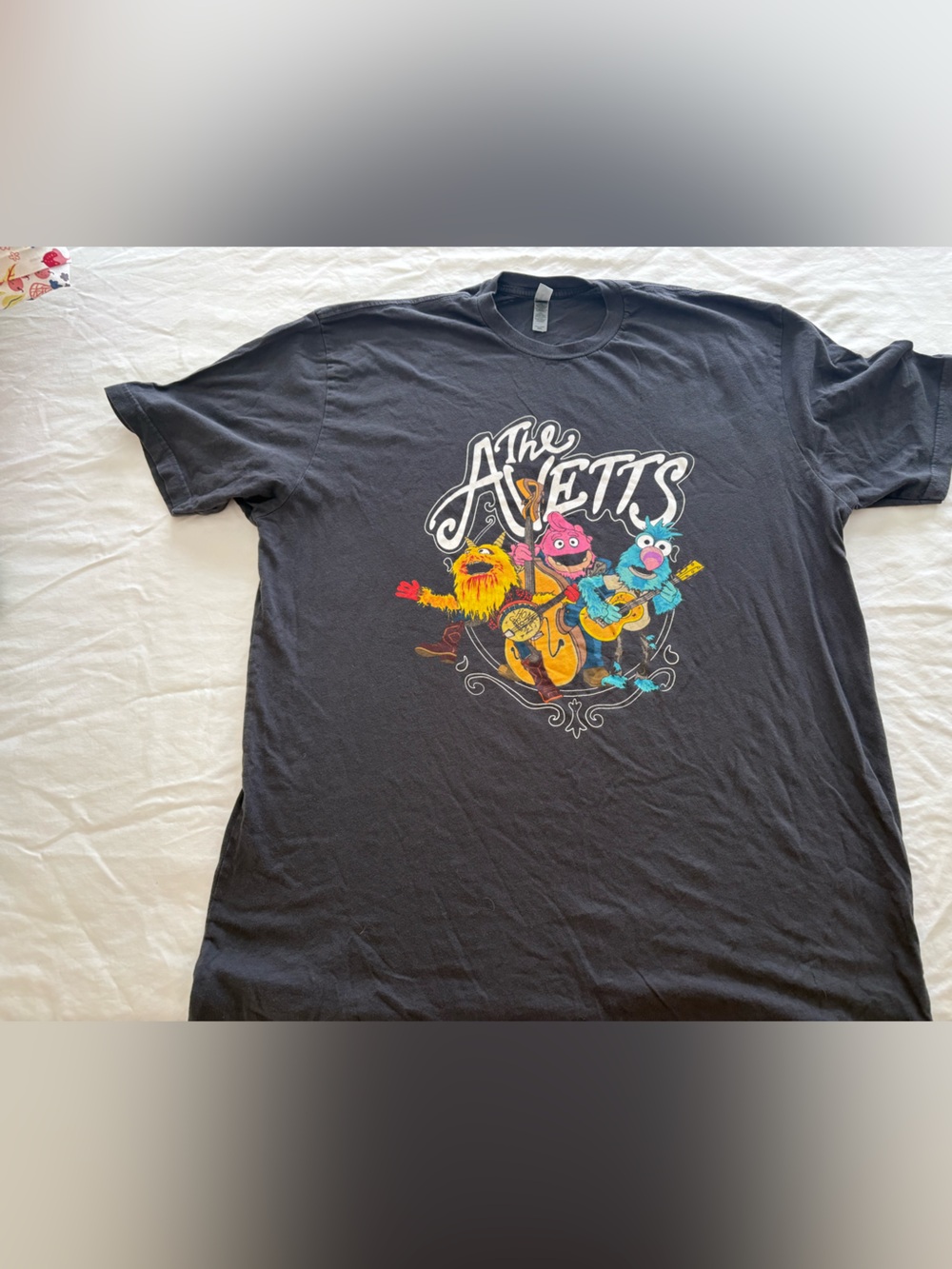 The Avetts, from an Avett Brothers tour, charcoal color, XXL